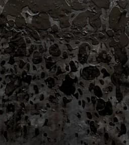 black painting whith black spots